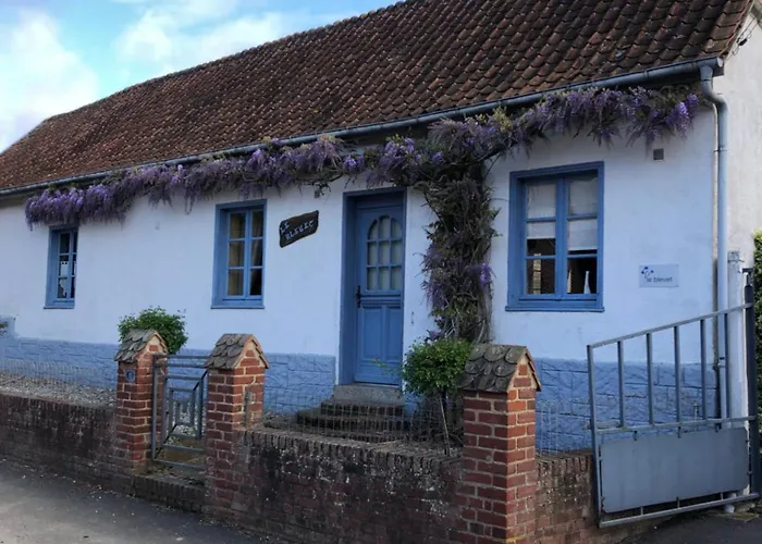 Le Bleuet